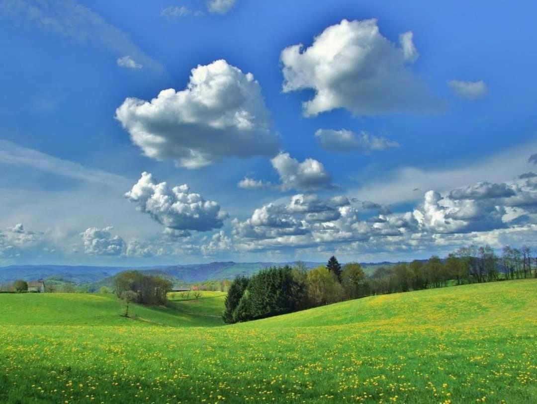 Bout De Cote Bed & Breakfast Lacam-dʼOurcet Dış mekan fotoğraf