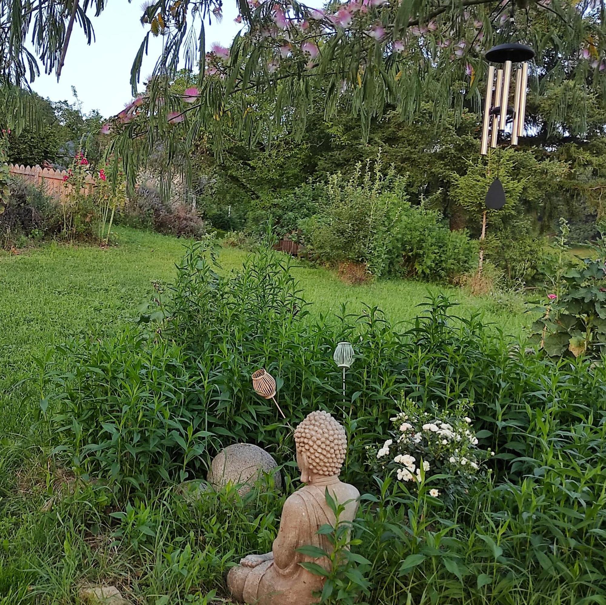 Bout De Cote Bed & Breakfast Lacam-dʼOurcet Dış mekan fotoğraf