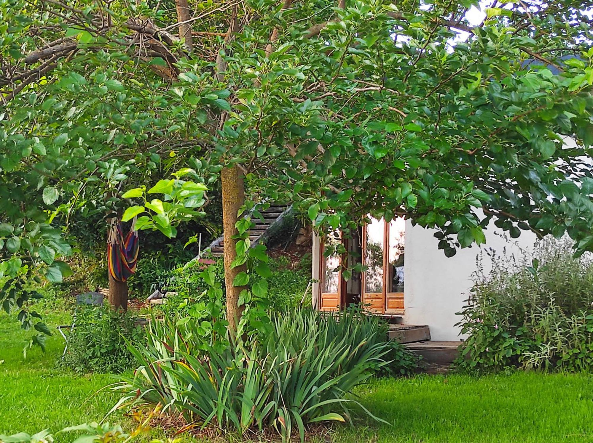 Bout De Cote Bed & Breakfast Lacam-dʼOurcet Dış mekan fotoğraf