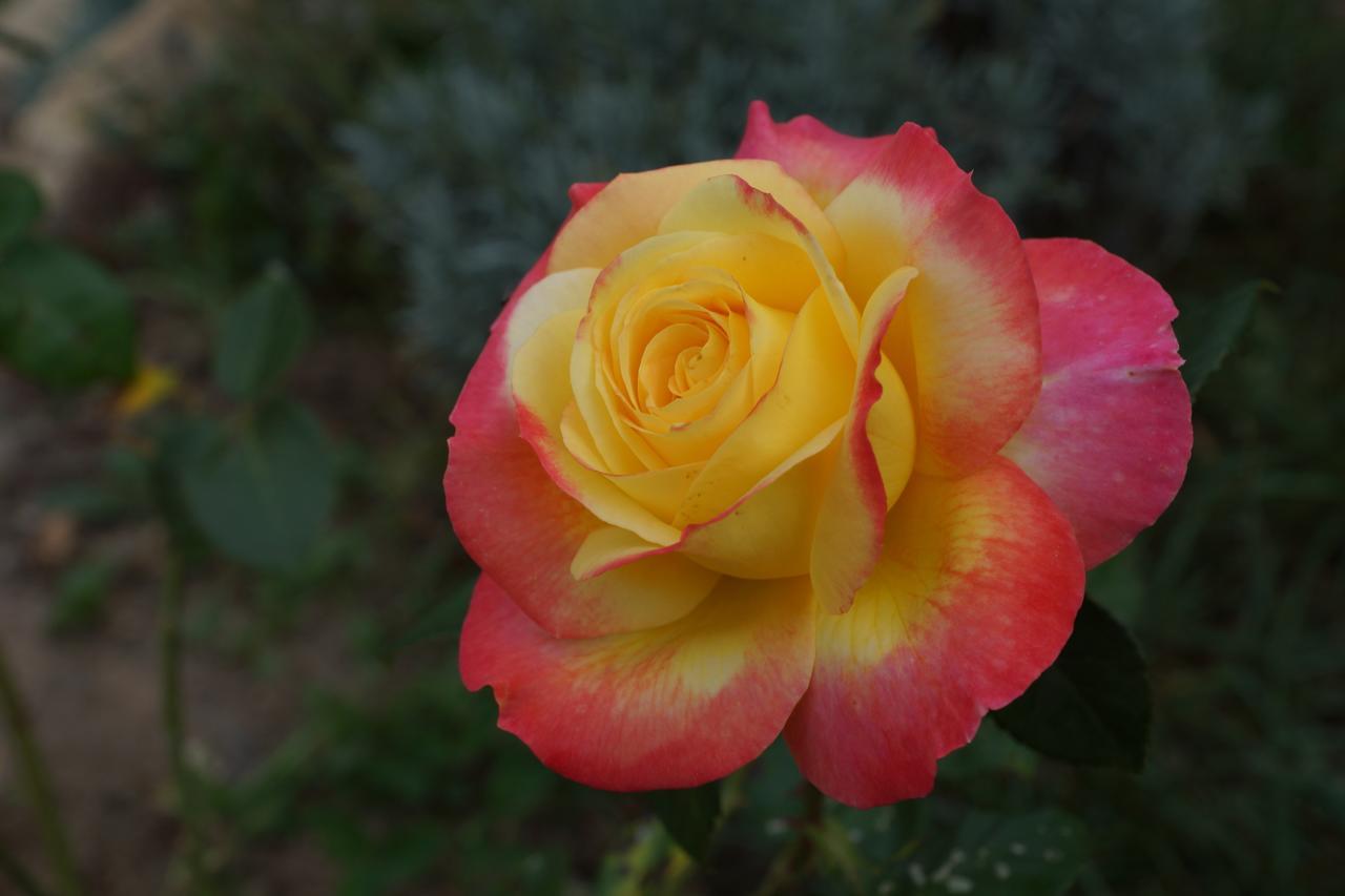 Bout De Cote Bed & Breakfast Lacam-dʼOurcet Dış mekan fotoğraf